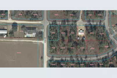 Tbd NE 150th Avenue, Williston, FL 32696 - Photo 5