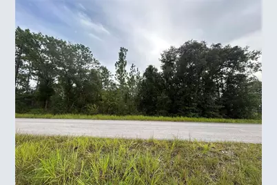 Tbd NE 150th Avenue, Williston, FL 32696 - Photo 3
