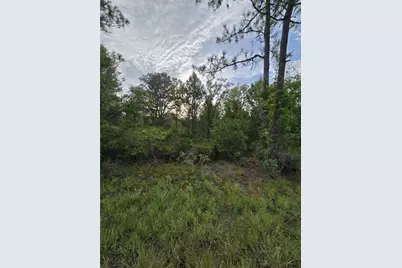 00 NE 124th Terrace, Williston, FL 32696 - Photo 5