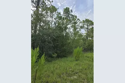00 NE 124th Terrace, Williston, FL 32696 - Photo 3