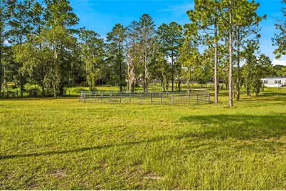 5351 NE 121st Terrace, Williston, FL 32696 - Photo 45