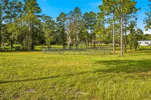 5351 NE 121st Terrace, Williston, FL 32696 - Photo 45