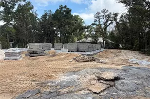 9307 SE 159th Ln, Summerfield, FL 34491 - Photo 3