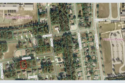 00 SW 150th Place, Ocala, FL 34473 - Photo 3