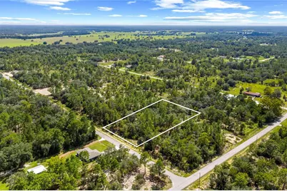 000 SW Lobelia Ct, Dunnellon, FL 34430 - Photo 3