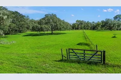5450 W Knoxville Lane, Dunnellon, FL 34433 - Photo 53