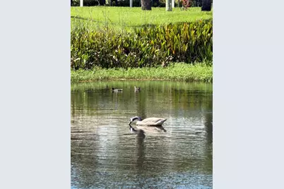 4268 Madeira Court #3324, Sarasota, FL 34233 - Photo 3