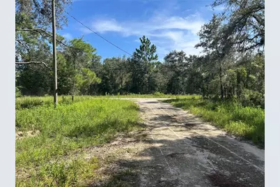1631 NE 123rd Terrace, Williston, FL 32696 - Photo 3