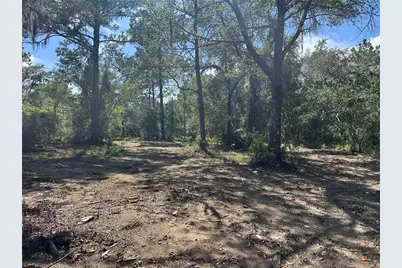 1631 NE 123rd Terrace, Williston, FL 32696 - Photo 1