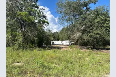1631 NE 123rd Terrace, Williston, FL 32696 - Photo 9