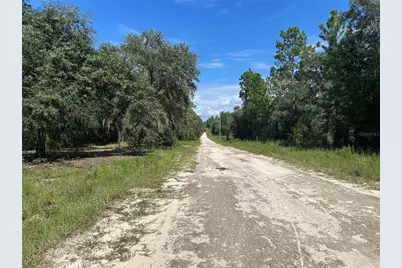 1631 NE 123rd Terrace, Williston, FL 32696 - Photo 5