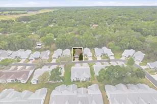 3569 S Belgrave Dr, Inverness, FL 34452 - Photo 5