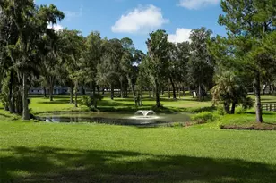 7970 NW 120th St, Reddick, FL 32686 - Photo 35