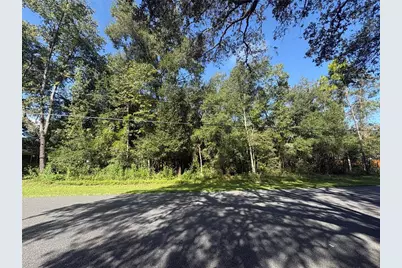 3348 E Hester Street, Inverness, FL 34453 - Photo 3
