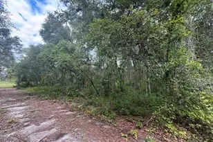 189 N Oakwood Terrace, Inverness, FL 34453 - Photo 1