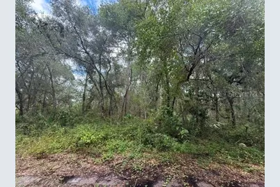 189 N Oakwood Terrace, Inverness, FL 34453 - Photo 5