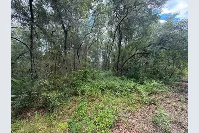 189 N Oakwood Terrace, Inverness, FL 34453 - Photo 3