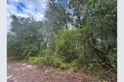177 N Oakwood Terrace, Inverness, FL 34453 - Photo 3