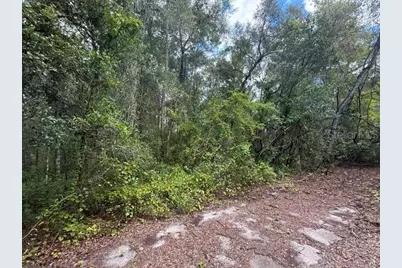 177 N Oakwood Terrace, Inverness, FL 34453 - Photo 5