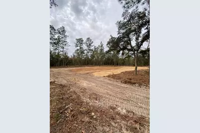 Se 4th Street, Williston, FL 32696 - Photo 11