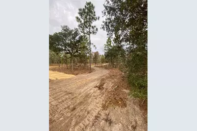 Se 4th Street, Williston, FL 32696 - Photo 9