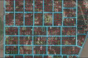 SE 4th St, Williston, FL 32696 - Photo 1