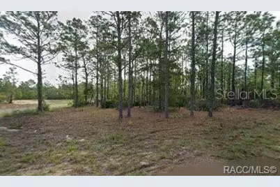10599 N Caldera Avenue, Citrus Springs, FL 34433 - Photo 1