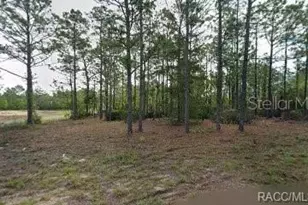 10599 N Caldera Ave, Citrus Springs, FL 34433 - Photo 1