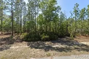 10584 N Inez Terrace, Citrus Springs, FL 34433 - Photo 1