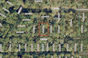 NE 226th St, Orange Springs, FL 32182 - Photo 1