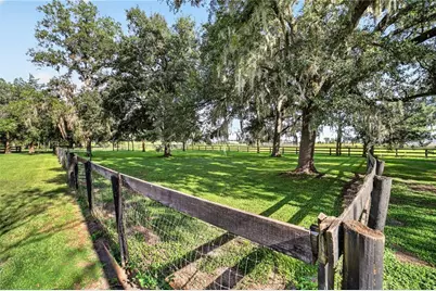 6051 SE 148th Terrace, Morriston, FL 32668 - Photo 43
