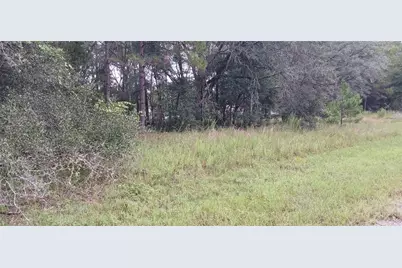 1623 E Ivydale Drive, Citrus Springs, FL 34434 - Photo 3