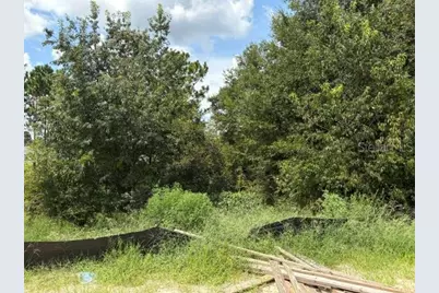 6734 SW 179th Avenue Road, Dunnellon, FL 34432 - Photo 9