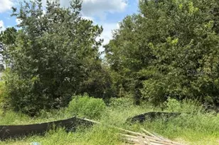6734 SW 179th Ave Rd, Dunnellon, FL 34432 - Photo 9