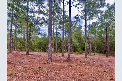 16 SW Anchor Boulevard, Dunnellon, FL 34431 - Photo 3