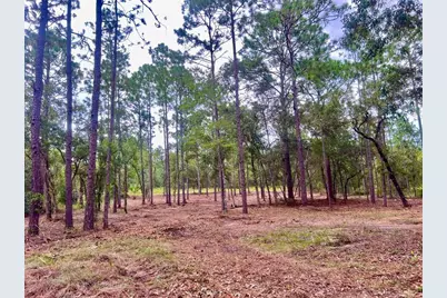 16 SW Anchor Boulevard, Dunnellon, FL 34431 - Photo 11