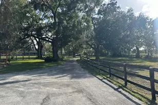 8550 NW 136th Ave Rd, Ocala, FL 34482 - Photo 37