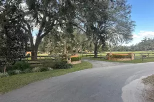 8550 NW 136th Ave Rd, Ocala, FL 34482 - Photo 35