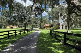 8550 NW 136th Ave Rd, Ocala, FL 34482 - Photo 1