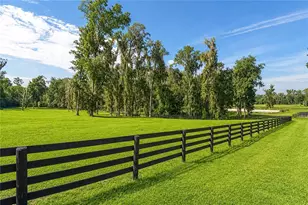 8568 NW 120th St, Reddick, FL 32686 - Photo 65