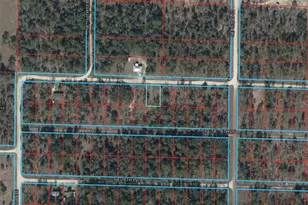 NE 17th Pl, Williston, FL 32696 - Photo 1