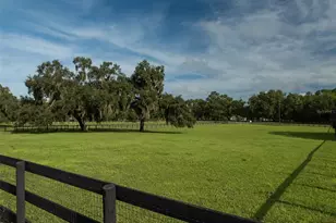 12910 W Hwy 328, Ocala, FL 34482 - Photo 29