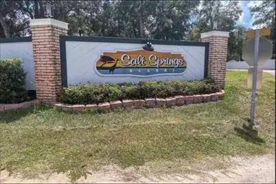 14076 NE 250th Circle #38, Fort Mc Coy, FL 32134 - Photo 19