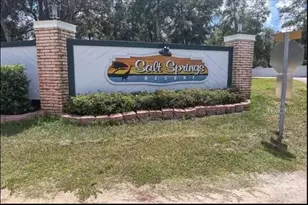 14076 NE 250th Circle, Fort Mc Coy, FL 32134 - Photo 19