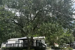 14104 253rd Ave Road NE, Fort Mc Coy, FL 32134 - Photo 1