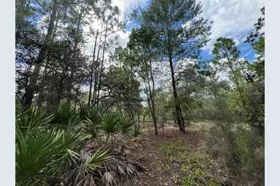 7357 N Firwood Circle, Citrus Springs, FL 34433 - Photo 9