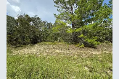 7357 N Firwood Circle, Citrus Springs, FL 34433 - Photo 7
