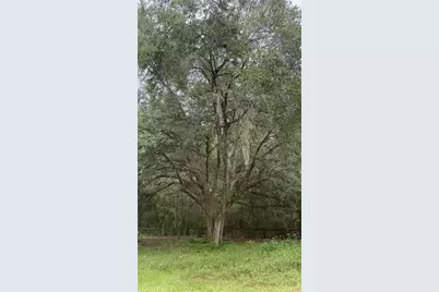 12171 NW 168th Place, Reddick, FL 32686 - Photo 11