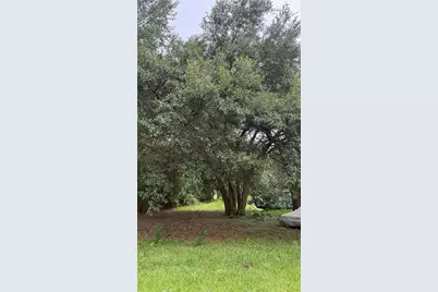 12171 NW 168th Place, Reddick, FL 32686 - Photo 7