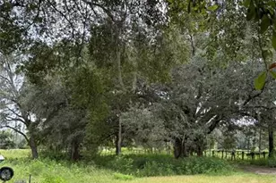 12171 NW 168th Pl, Reddick, FL 32686 - Photo 9